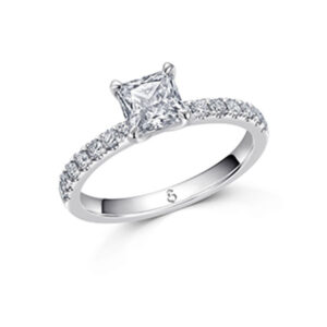 Fancy Solitaire Kollektion Verlobungsringe X10